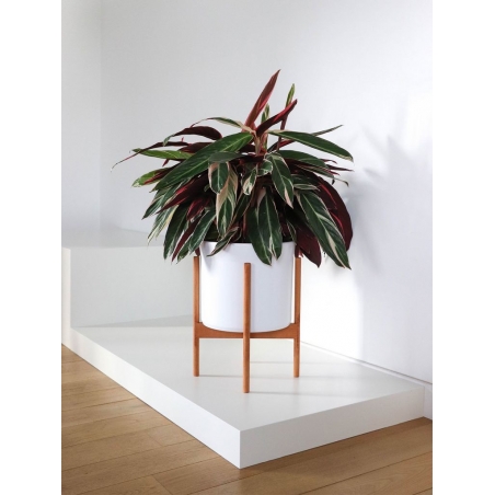 Etalage sokkel wit mat, 45 x 45 x 10 cm (lxbxh)
