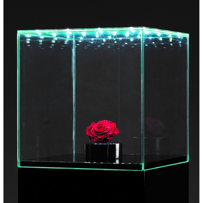 glazen vitrinekap met deur en LED-glas, 30 x 30 x 30 cm (lxbxh), 6mm glas