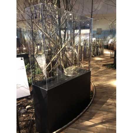 Plexiglas vitrinekap | plexiglas stolp | maquettekap op maat