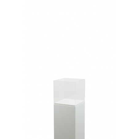 Plexiglas vitrinekap | plexiglas stolp | maquettekap op maat