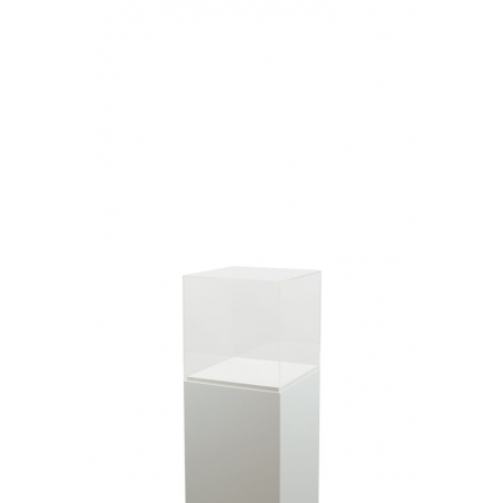 Plexiglas vitrinekap | plexiglas stolp | maquettekap op maat