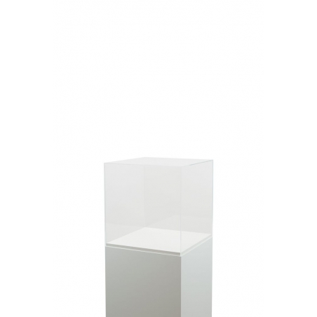 Plexiglas vitrinekap | plexiglas stolp | maquettekap op maat