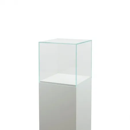 Glazen vitrinekap | glazen stolp voor op sokkel | museumvitrine