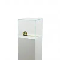 Glazen vitrinekap | glazen stolp voor op sokkel | museumvitrine