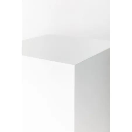 witte sokkels | plantenzuilen | zuilen wit