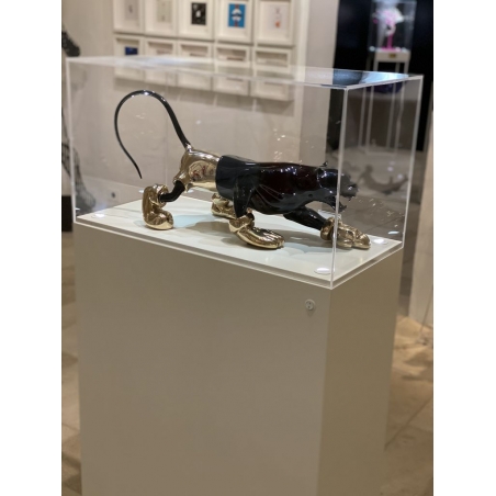 Sokkel met beschermkap en LED - combinatiesokkel