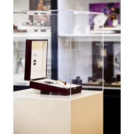 Plexiglas vitrinekap | plexiglas stolp | maquettekap op maat Plexiglas vitrinekap | plexiglas stolp | maquettekap op maat