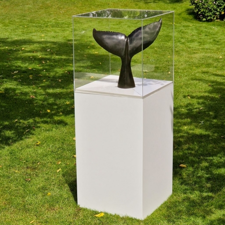 Plexiglas vitrinekap | plexiglas stolp | maquettekap op maat Plexiglas vitrinekap | plexiglas stolp | maquettekap op maat