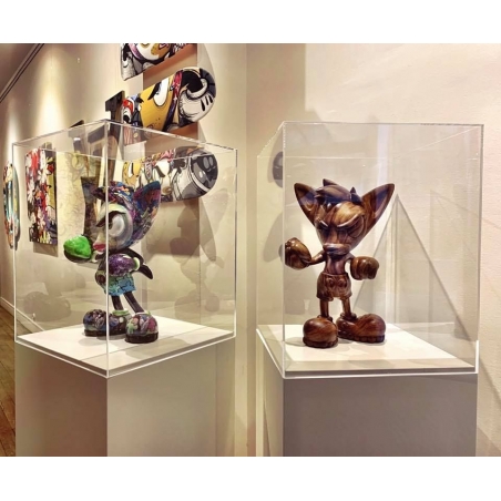 Plexiglas vitrinekap | plexiglas stolp | maquettekap op maat