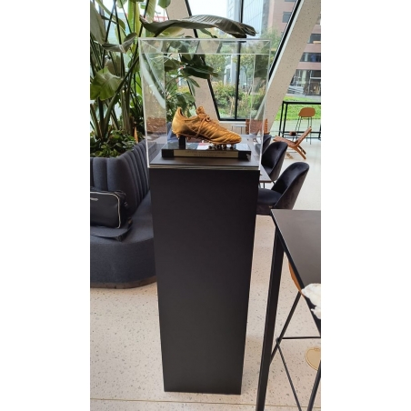 Plexiglas vitrinekap | plexiglas stolp | maquettekap op maat