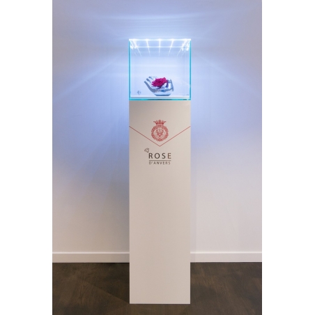 Glazen beschermkap met geintegreerde LED-verlichting