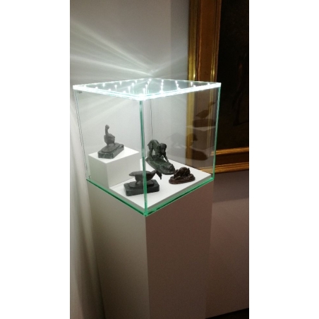 Glazen beschermkap met geintegreerde LED-verlichting