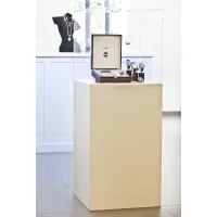 witte sokkels | plantenzuilen | zuilen wit