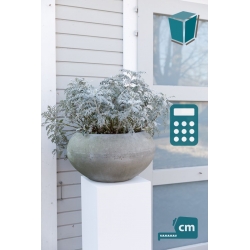 sokkel wit voor buiten