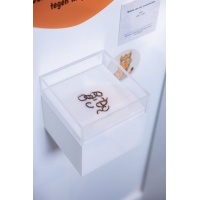 Wanddisplay parijs