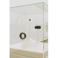 Glazen vitrinekap | glazen stolp voor op sokkel | museumvitrine