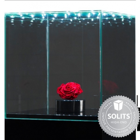Glazen beschermkap met geintegreerde LED-verlichting 40 x 40 x 40 cm 