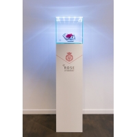 Glazen beschermkap met geintegreerde LED-verlichting 35 x 35 x 35 cm 