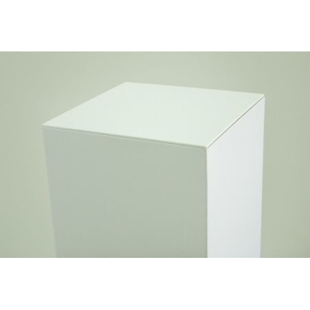 Top 4mm plexiglas wit (max. 50x50cm)