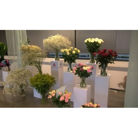 Vitrine LED-verlichting & Sokkel Accessoires