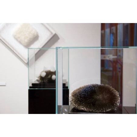 Glazen vitrinekap | glazen stolp voor op sokkel | museumvitrine Glazen vitrinekap | glazen stolp voor op sokkel | museumvitrine